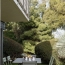  Annonces BRON : Apartment | CALUIRE-ET-CUIRE (69300) | 92 m2 | 516 850 € 